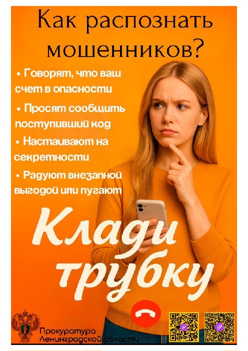 Плакат наш 1 с qr пег